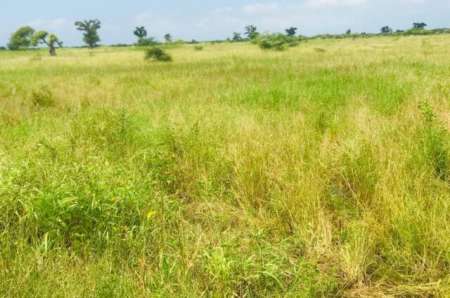 Terrain agricole de 5 ha vers Nguéniène