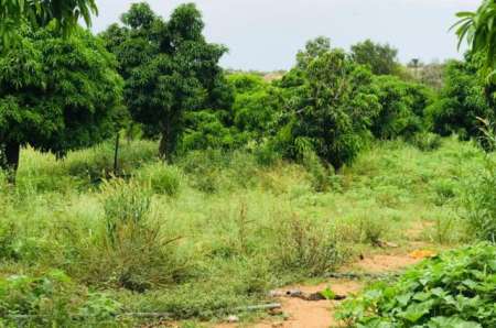 Ferme agricole de 10 ha vers Darou Khoudoss