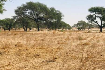Terrain agricole de 1,64 ha vers Tassette