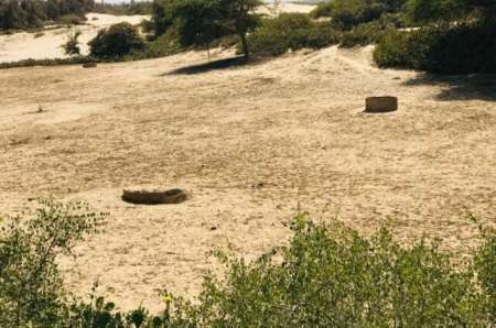 Verger agricole de 4,50 ha vers Darou Khoudoss