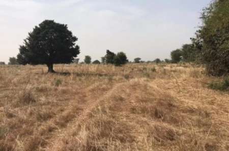 Terrain agricole de 1,81 ha vers Djilass