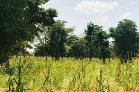 Terrain agricole de 1,34 ha vers Baba Garage