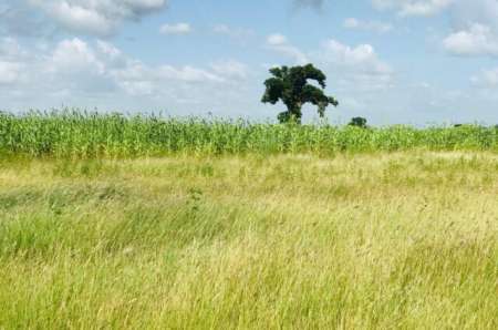 Terrain agricole de 3 ha vers Malicounda