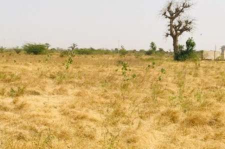 Verger agricole de 3 ha vers Nguéniène