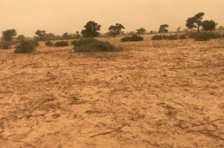 Terrain agricole de 3 ha vers Thiènaba