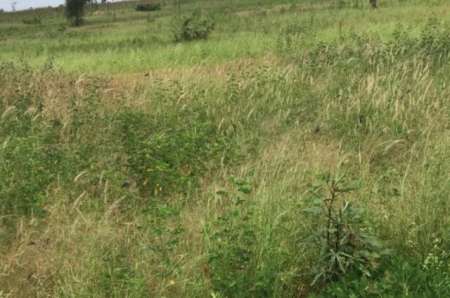 Terrain agricole de 8478 m² vers Ndiaganiao