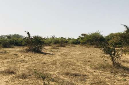 Terrain agricole de 1 ha vers Diender