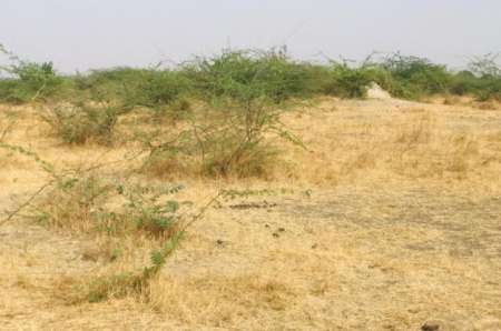 Terrain agricole de 9419 m² vers Nguéniène