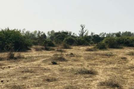 Terrain agricole de 1,68 ha vers Diender