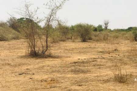 Verger agricole de 1,16 ha vers Sindia