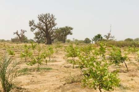 Terrain agricole de 3 ha vers Tassette