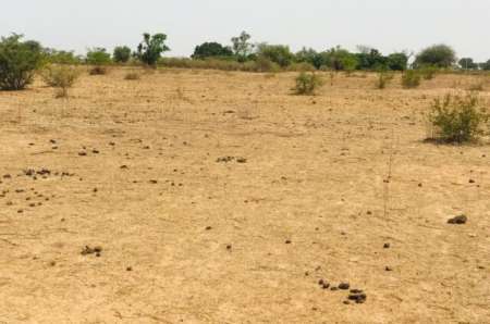 Terrain agricole de 1,26 ha vers Notto Diobass