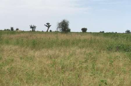Terrain agricole de 1,07 ha vers Ndiaganiao
