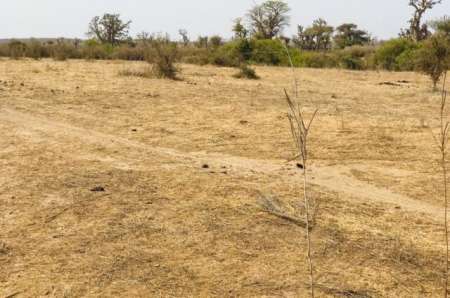Terrain agricole de 2 ha vers Mont Rolland