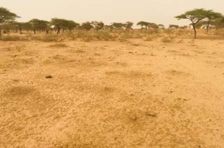 Terrain agricole de 3 ha vers Diama