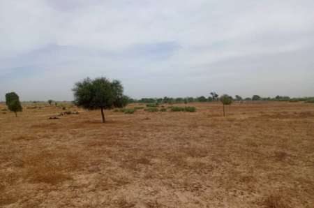 Terrain agricole de 7783 m² vers Tassette