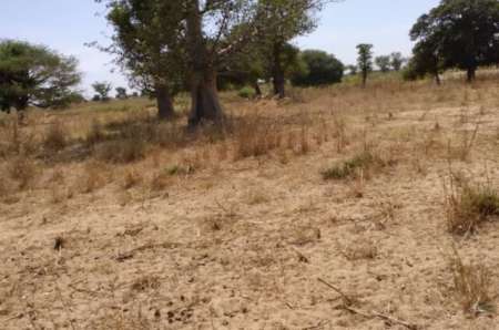 Terrain agricole 1,85 hectare vers Tassette