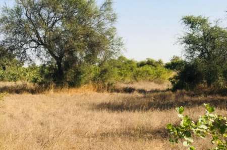 Terrain agricole de 2,47 hectares vers Thiènaba