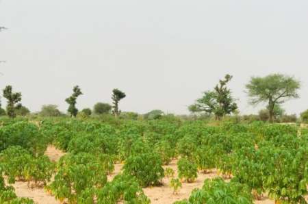 Terrain agricole de 1,73 hectares vers Méouane