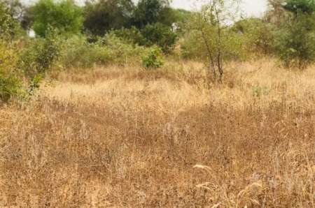 Terrain agricole de 1,38 hectare vers Méouane