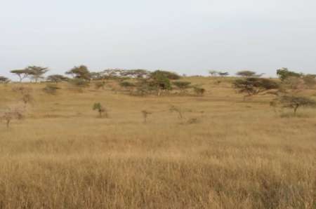Terrain agricole de 50 hectares vers Kab Gaye